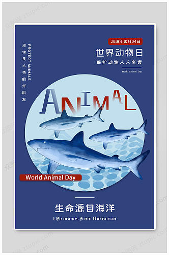 世界动物日海洋动物