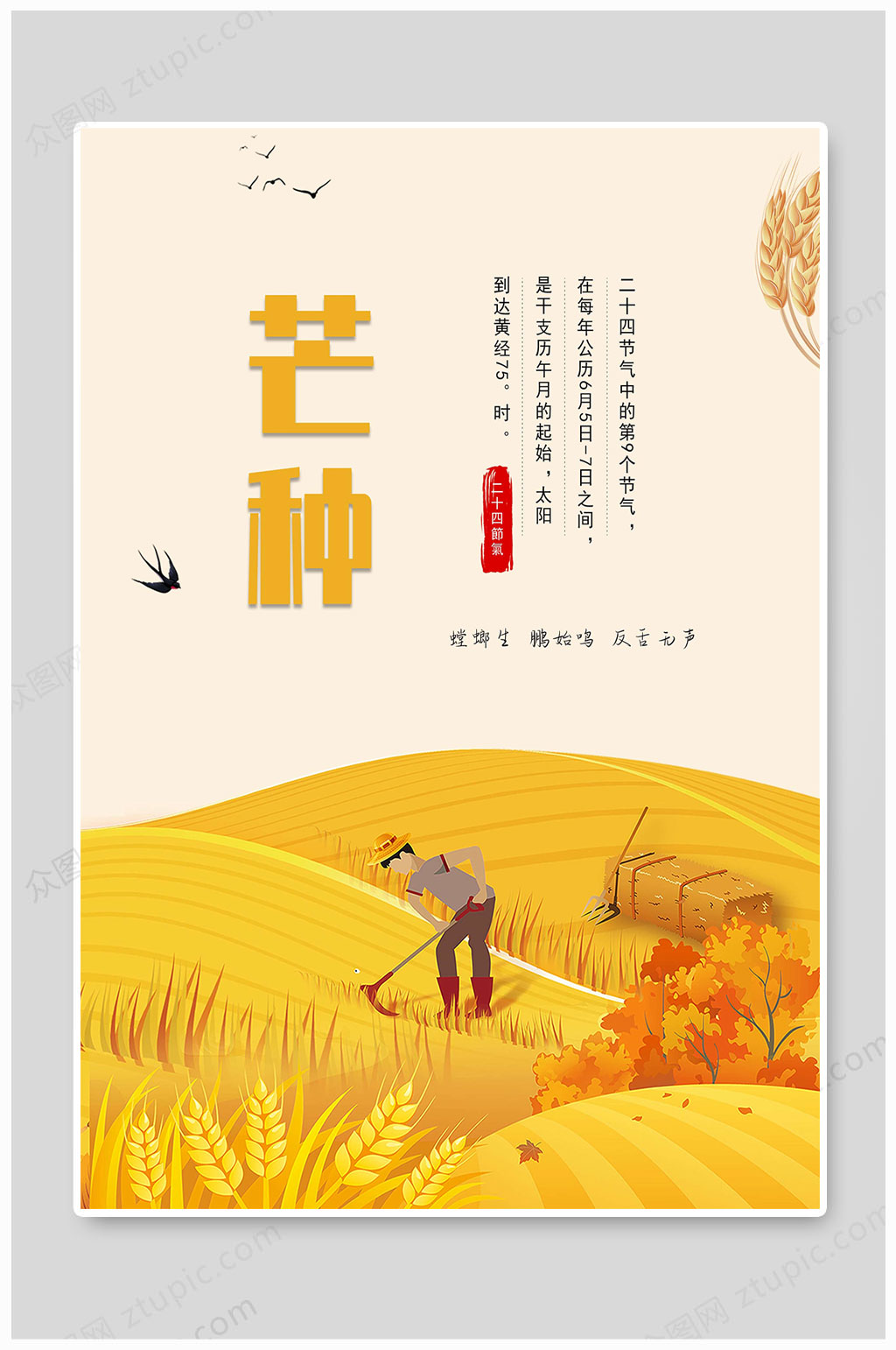 芒种二十四节气海报素材