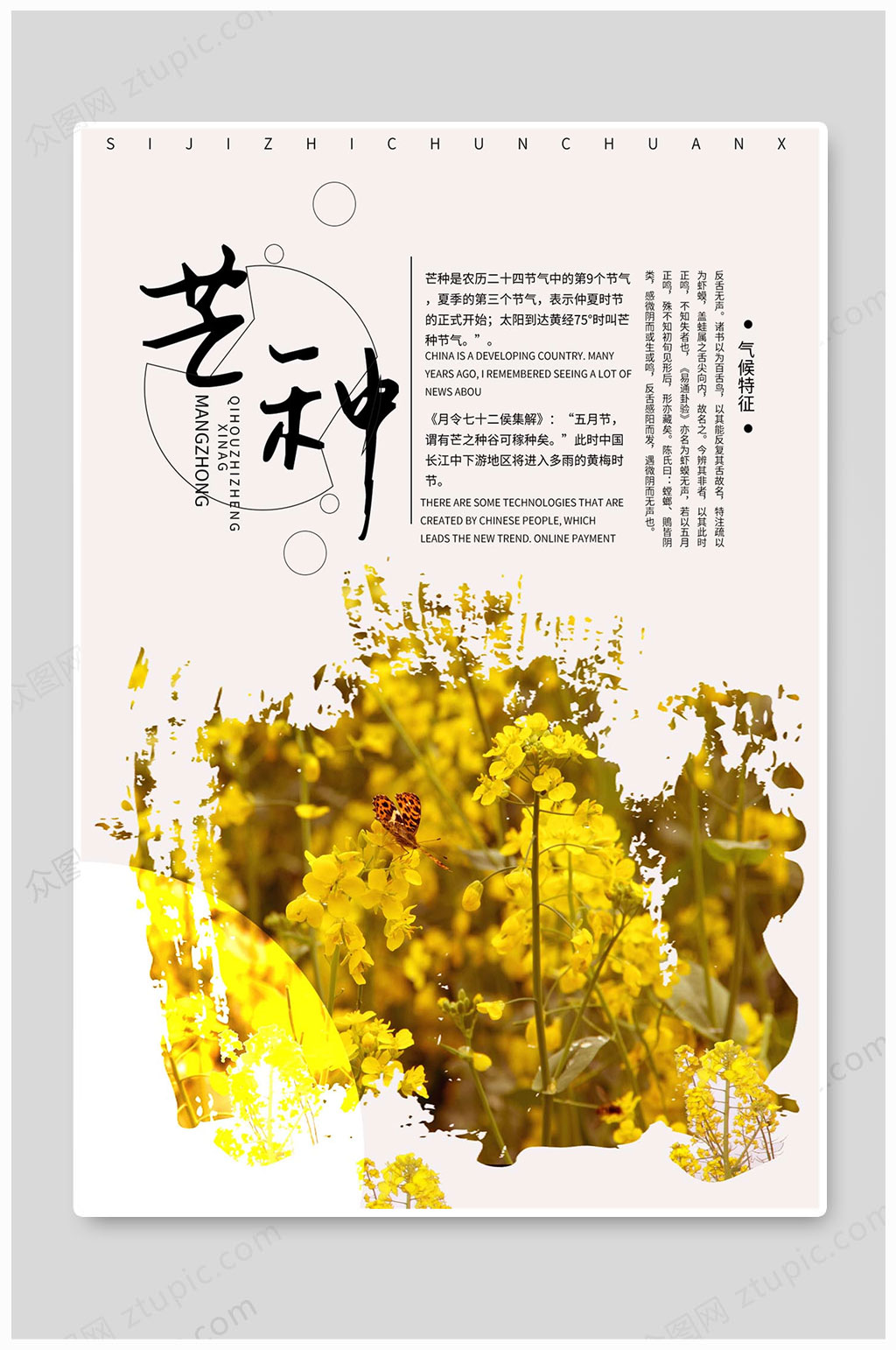 芒种节气文化海报素材