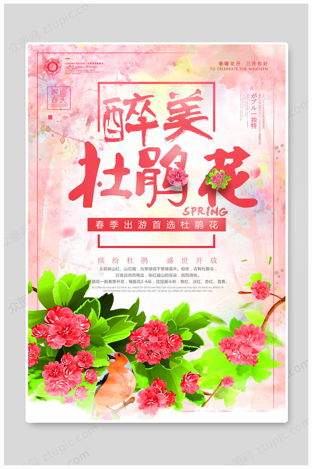 醉美杜鹃花大气海报素材