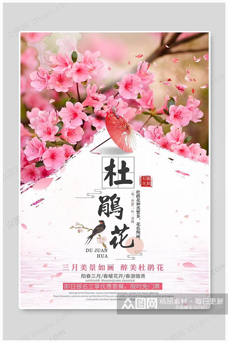 杜鹃花烂漫粉红色杜鹃花素材