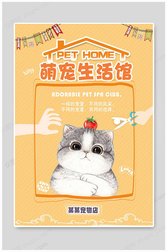 猫之家可爱萌宠生活馆宠物店宠物海报