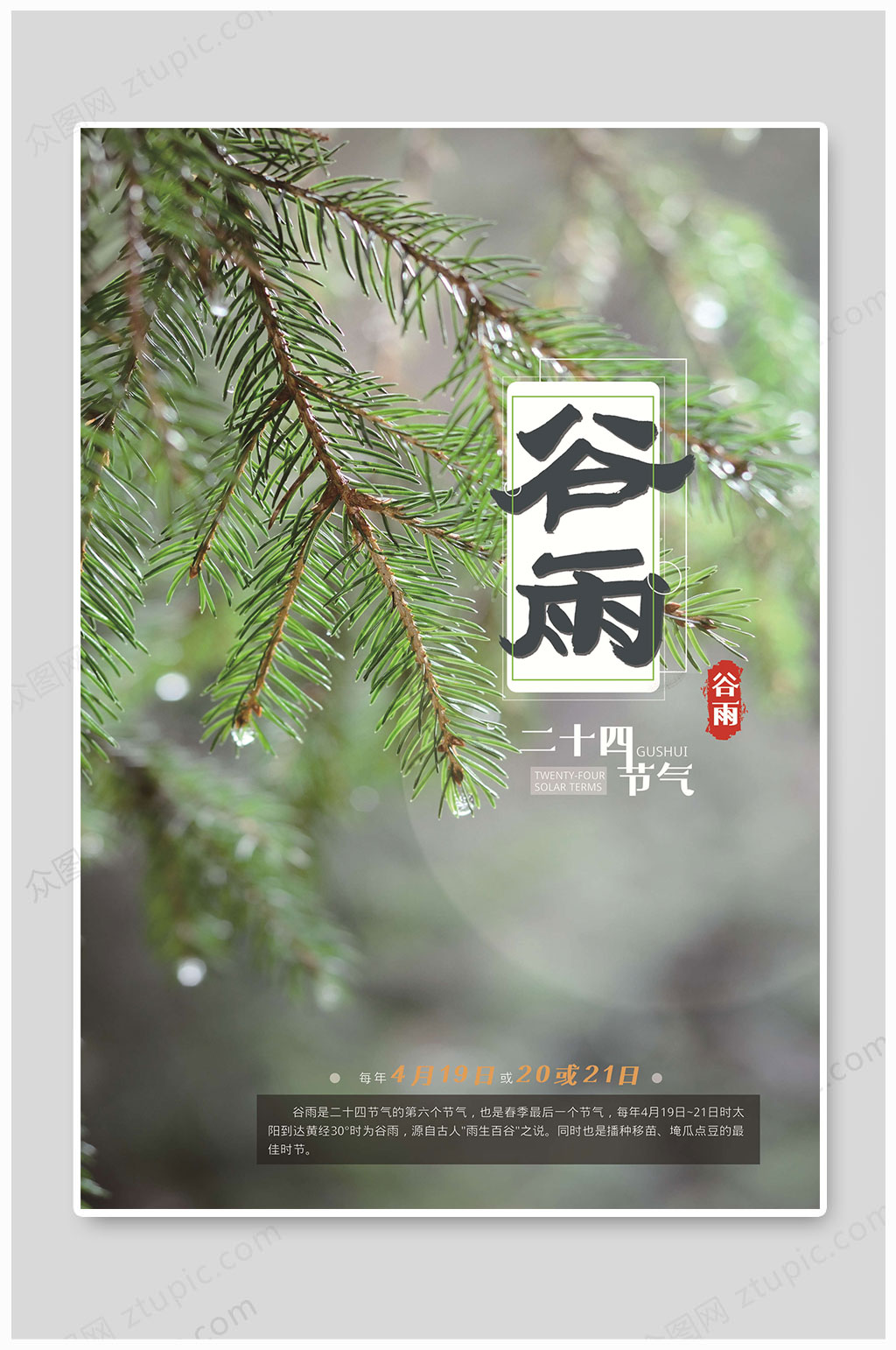 谷雨大气节气海报素材