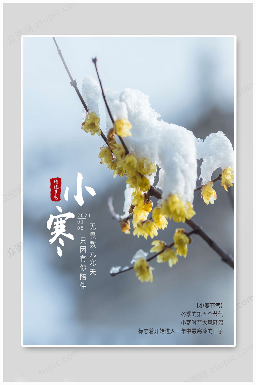 小寒节气传统节气素材