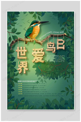 国际爱鸟日绿色传统
