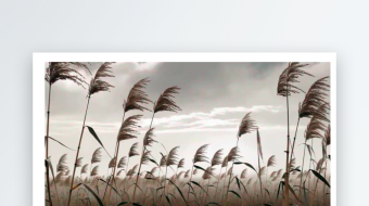 水墨芦苇荡唯美舞台背景-众图网