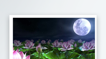 凤凰传奇荷塘月色舞台背景配乐成品-众图网