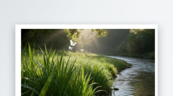 河边草蝴蝶飞唯美动态背景-众图网