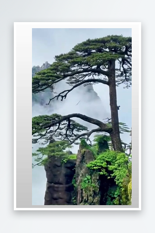 安徽黄山风景区竖屏实拍素材-众图网
