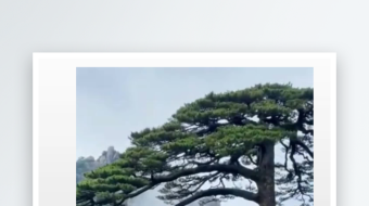 安徽黄山风景区竖屏实拍素材-众图网