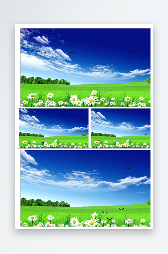 蓝天白云花朵草地飞鸟森林动画背景-众图网