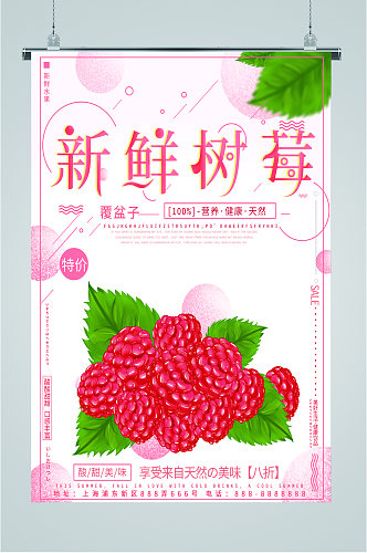 新鲜可口树莓海报