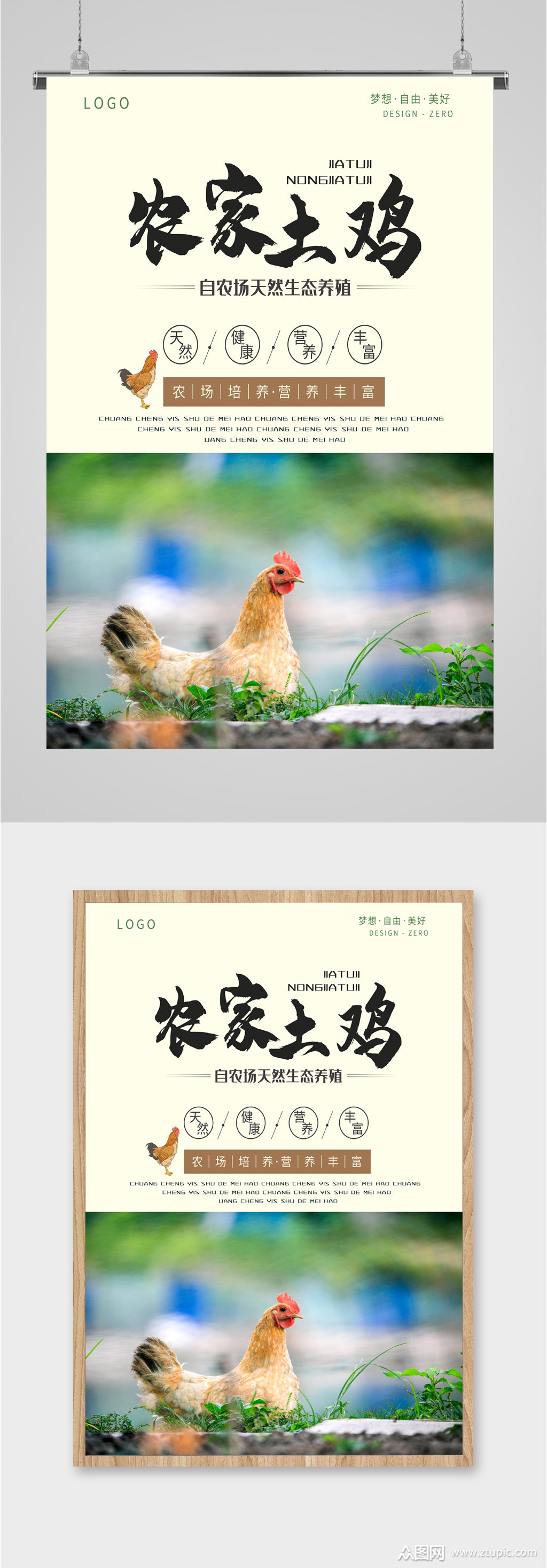 农家营养土鸡海报