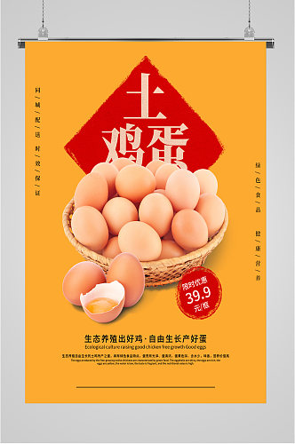 健康营养土鸡蛋海报