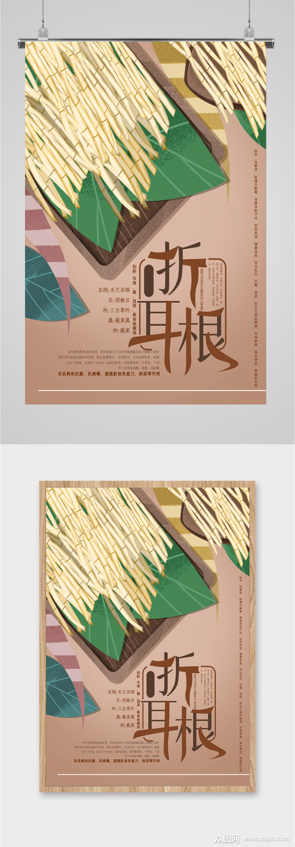 折耳根海报素材免费下载,本作品是由潜力股上传的原创平面广告素材