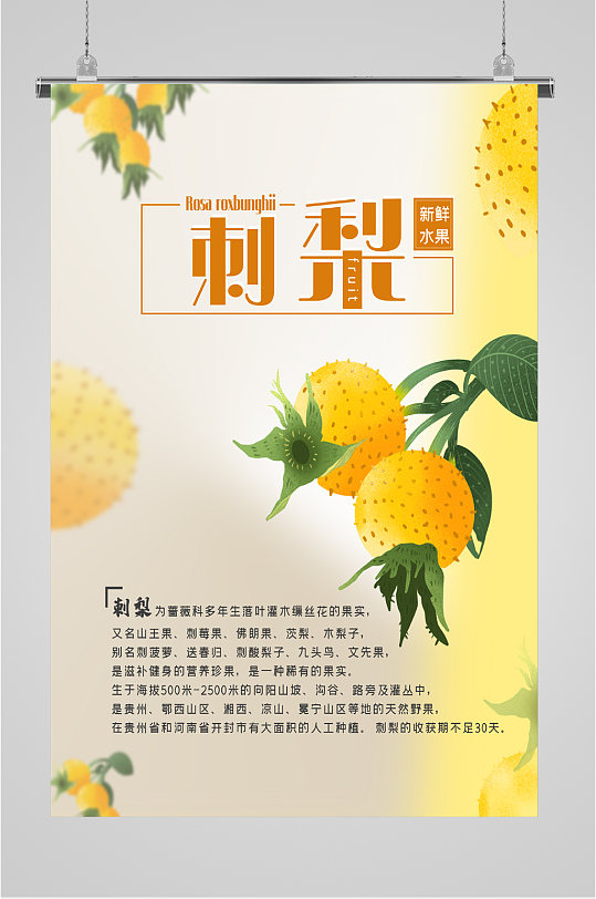 新鲜水果刺梨海报