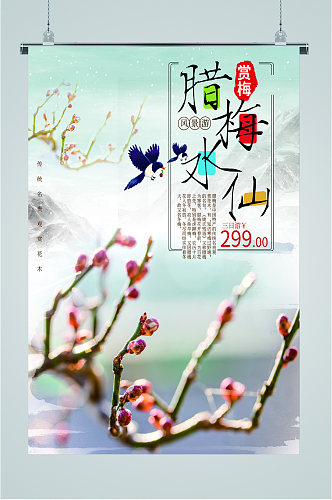 腊梅水仙赏梅活动海报