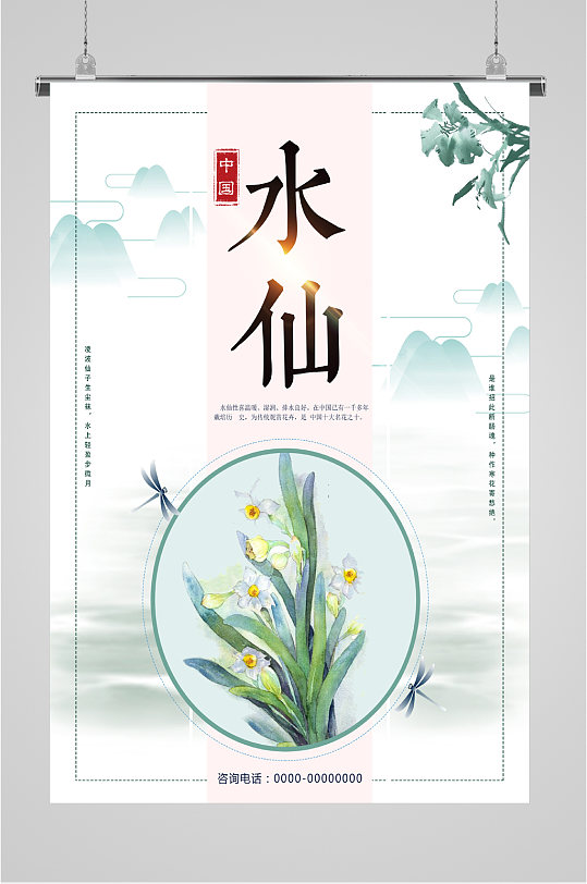 中国水仙花手绘插画海报