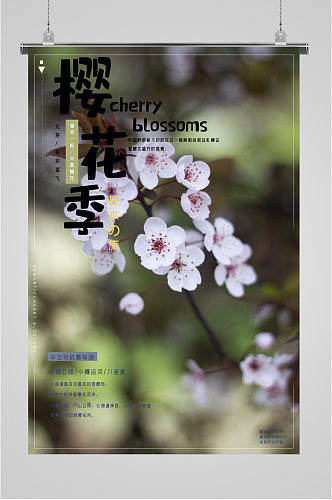 樱花季日本之旅海报