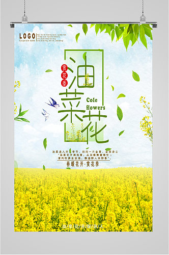 赏花季油菜花海报