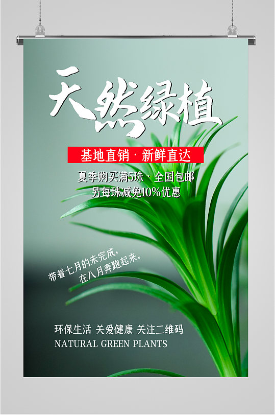 天然绿植包邮海报