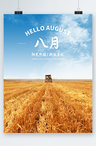 8月小麦风景海报