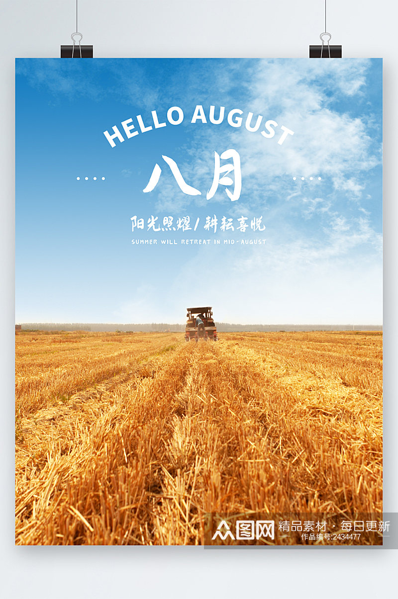 8月小麦风景海报素材