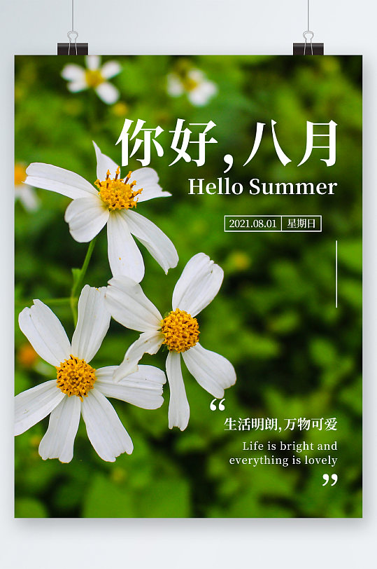 八月夏日风光海报