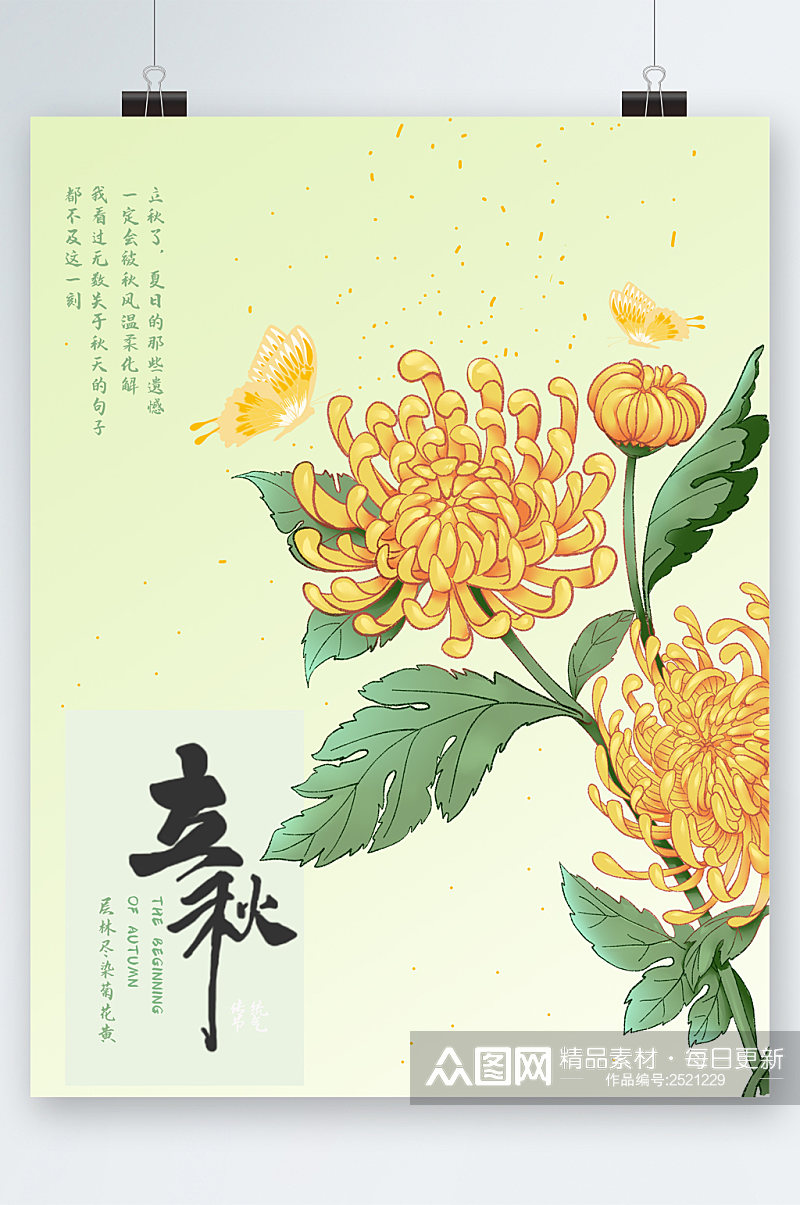 立秋菊花插画清新海报素材