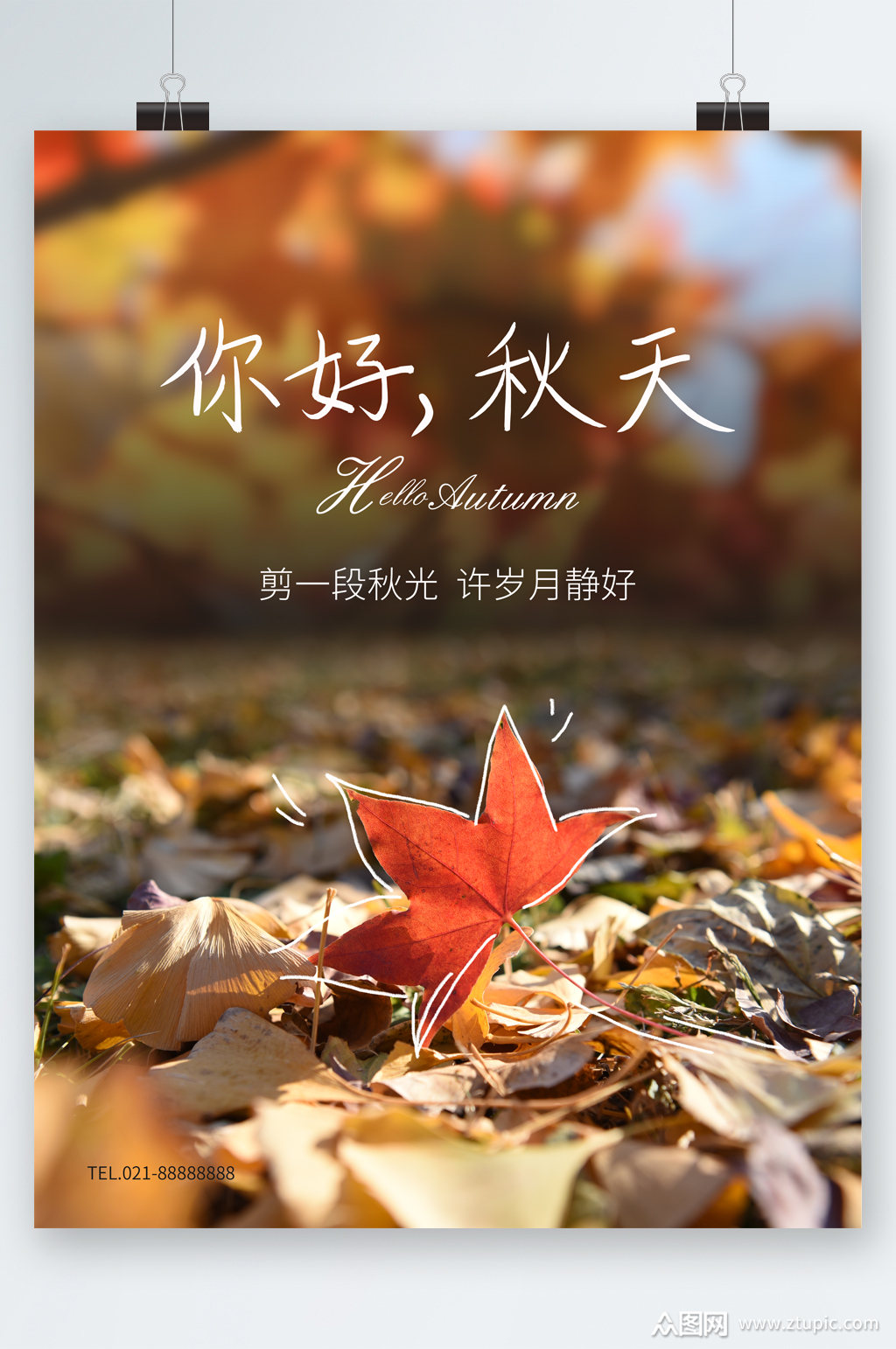 你好秋天枫叶海报素材