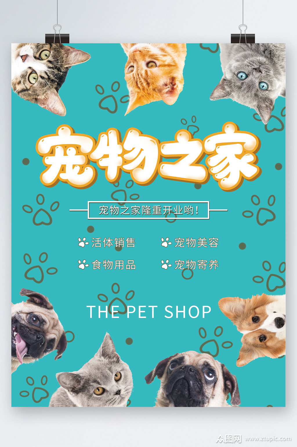 宠物之家开业萌宠海报