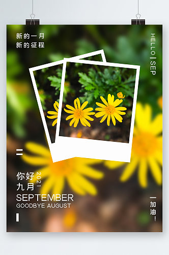 你好九月清新花朵海报
