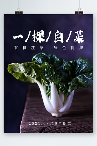 健康营养白菜海报