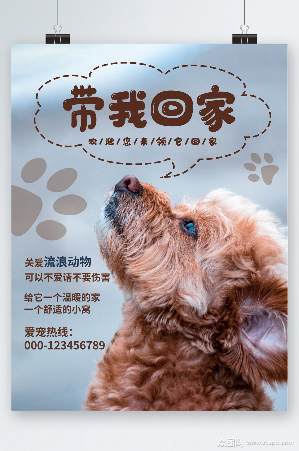 带我回家关爱流浪动物海报模板下载-编号3014912-众图网