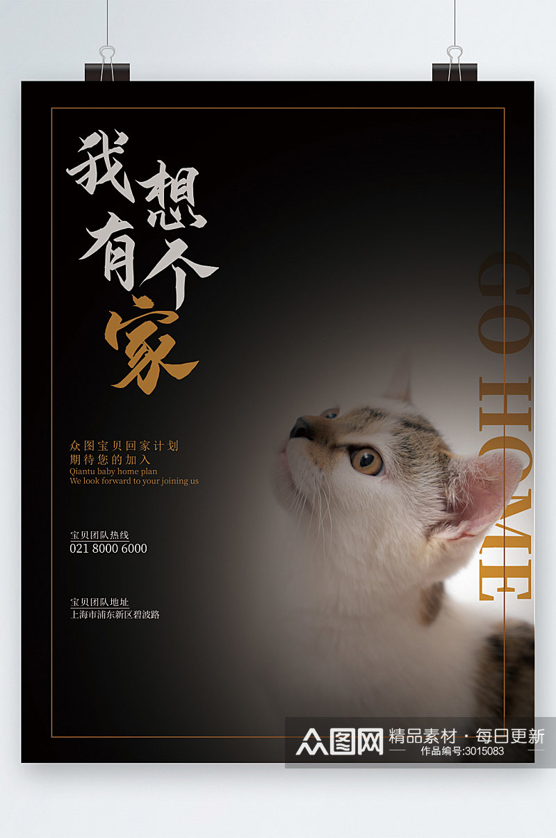 我想有个家流浪动物猫咪海报素材