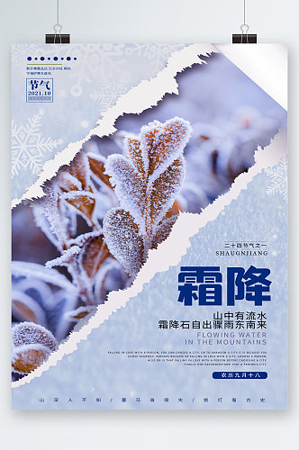 霜降节气植物背景海报