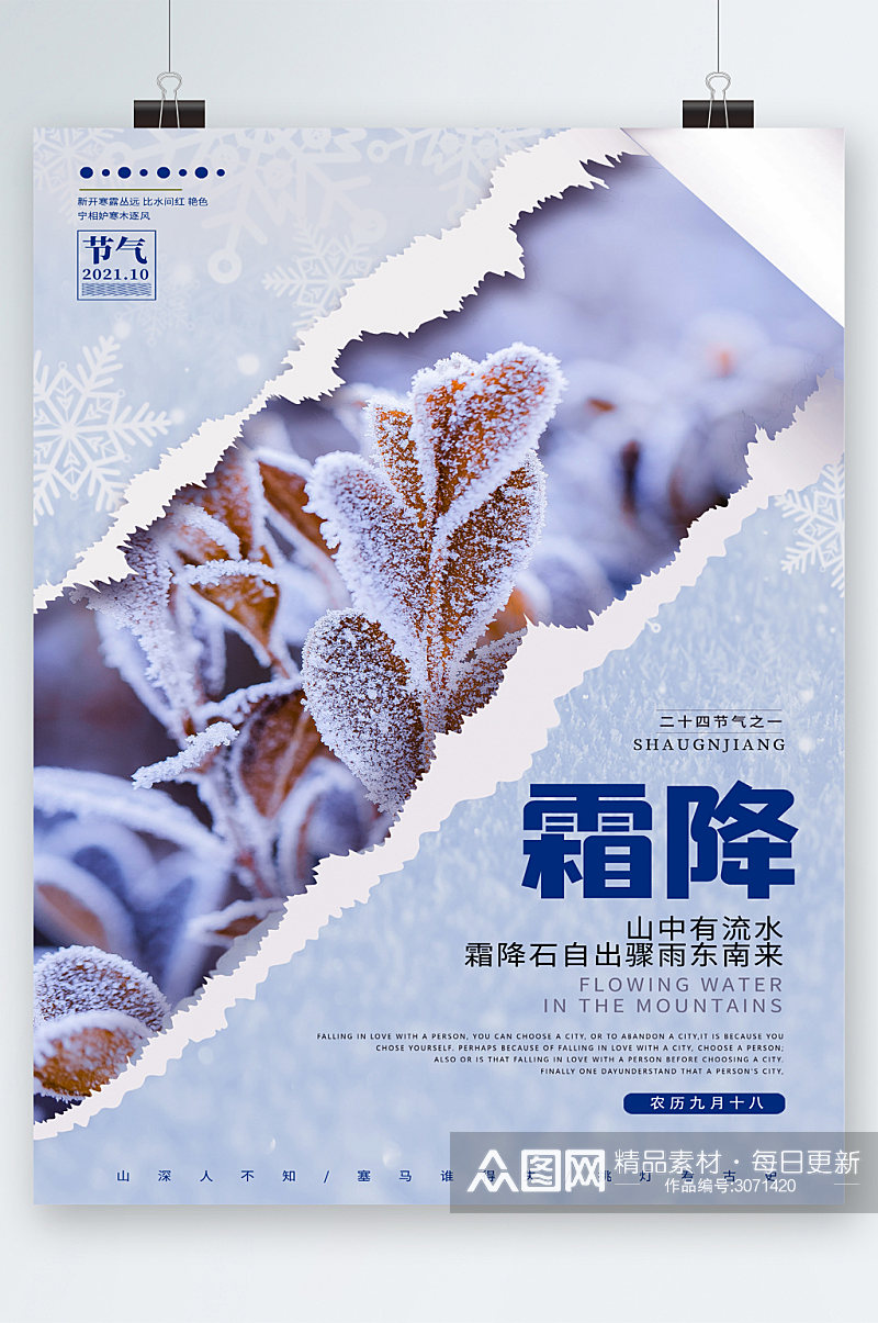 霜降节气植物背景海报素材