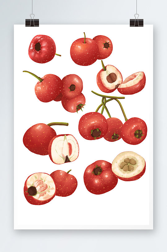 手绘山楂冬季水果元素插画-众图网