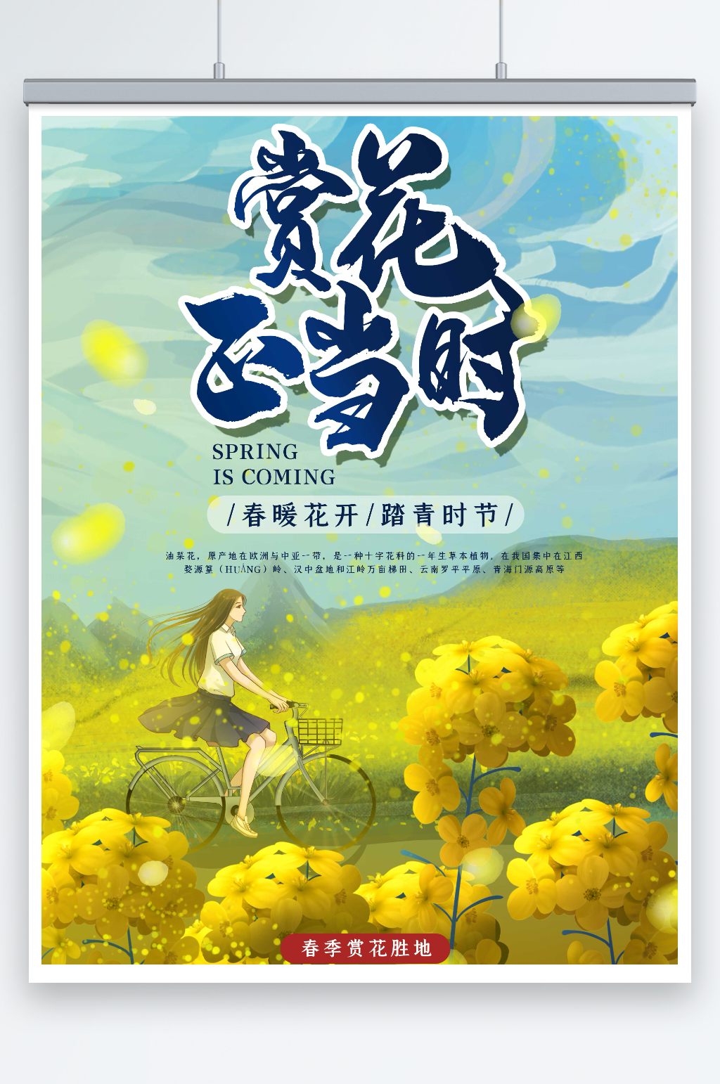 赏花正当时春天海报素材