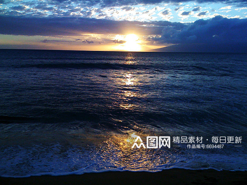 大海天空高清植物花朵摄影图素材