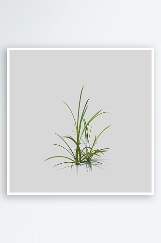 小草植物元素插画PNG