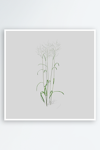 小草植物元素插画PNG