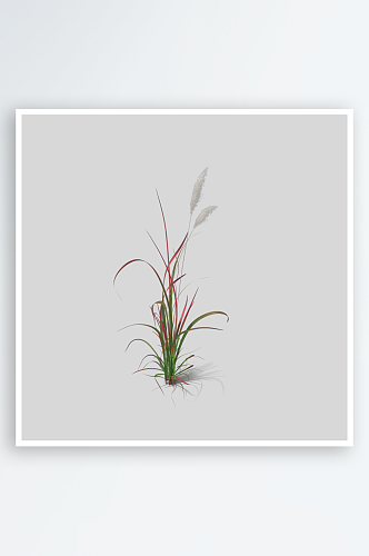 小草植物元素插画PNG