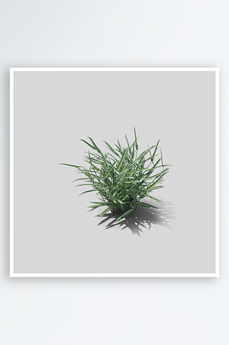 小草植物元素插画PNG