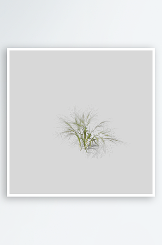 小草植物元素插画PNG