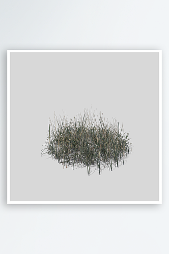 小草植物元素插画PNG