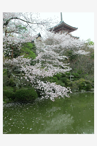 日本京都城市风景摄影图