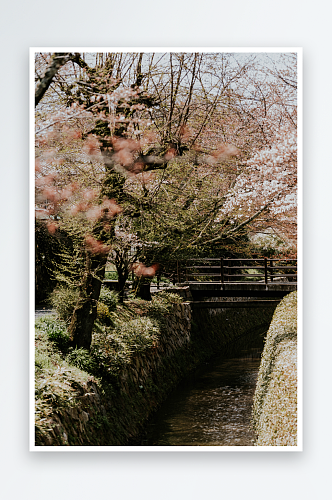 日本京都城市风景摄影图