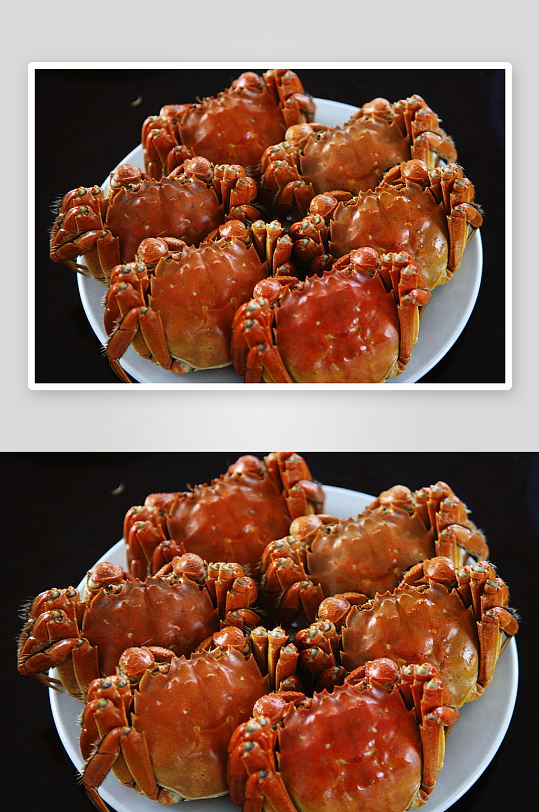 高清大闸蟹美食摄影图