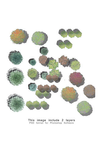 园林植物贴图素材
